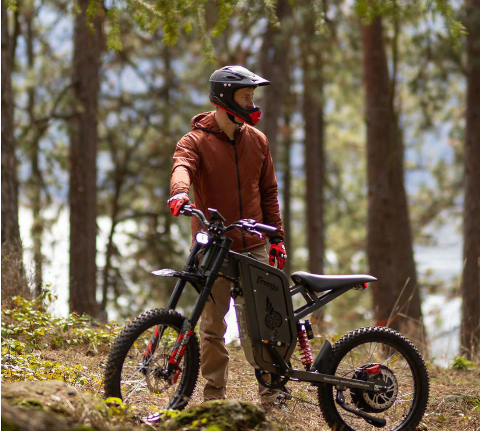 Freego X2 Pro